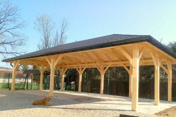 Holzcarport 5×10 Premium, Satteldach